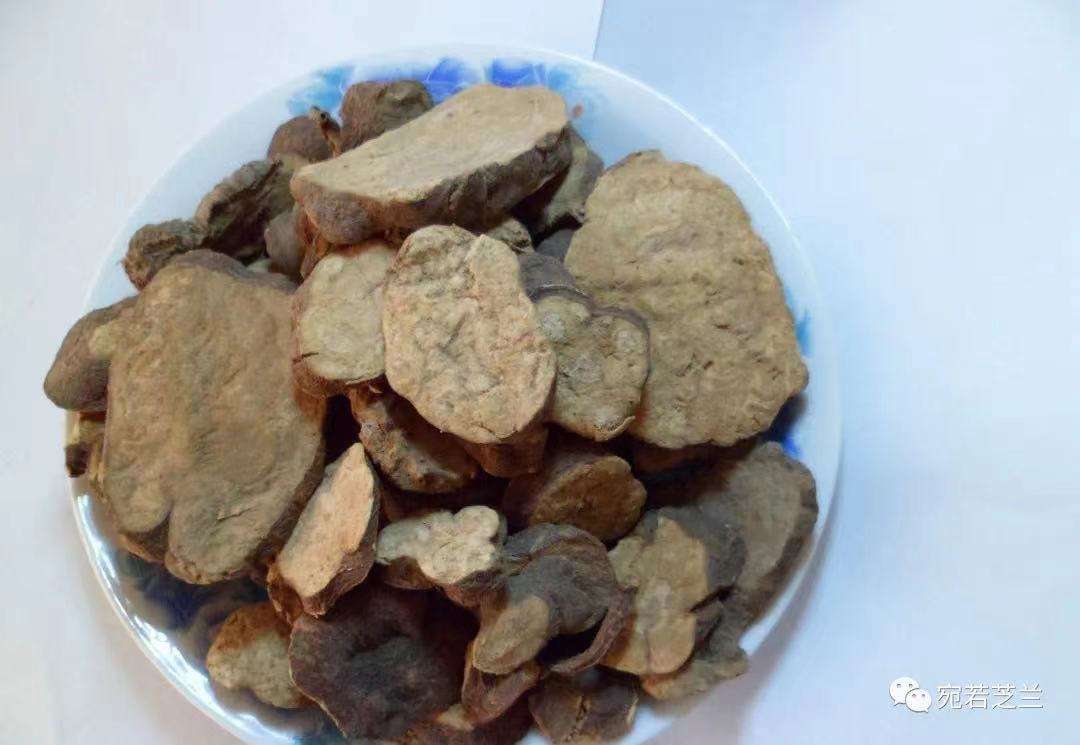 中藥傳說故事?——?何首烏的傳說故事